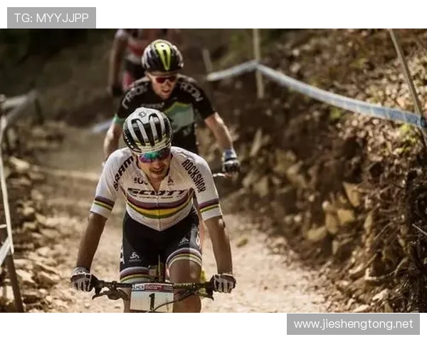 ✅体育直播🏆世界杯直播🏀NBA直播⚽- 青海省新的社会阶层人士联谊会成立- sports