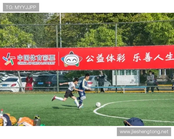 中国体育职业联赛改革（体育职业赛事）sports